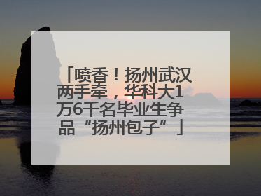 喷香！扬州武汉两手牵，华科大1万6千名毕业生争品“扬州包子”