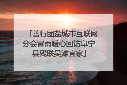 善行团盐城市互联网分会冒雨暖心回访阜宁县残联吴滩宜家