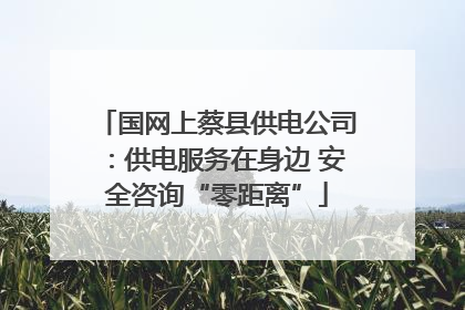 国网上蔡县供电公司：供电服务在身边 安全咨询“零距离”