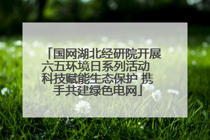 国网湖北经研院开展六五环境日系列活动 科技赋能生态保护 携手共建绿色电网