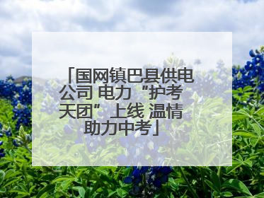 国网镇巴县供电公司 电力“护考天团”上线 温情助力中考