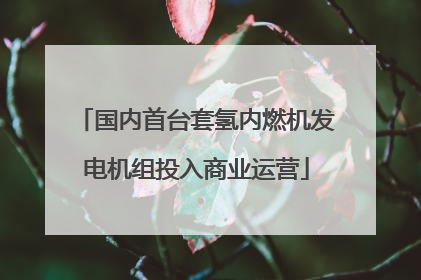 国内首台套氢内燃机发电机组投入商业运营
