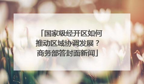 国家级经开区如何推动区域协调发展？商务部答封面新闻