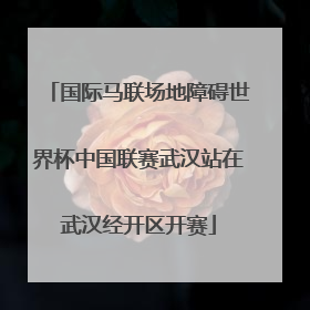 国际马联场地障碍世界杯中国联赛武汉站在武汉经开区开赛