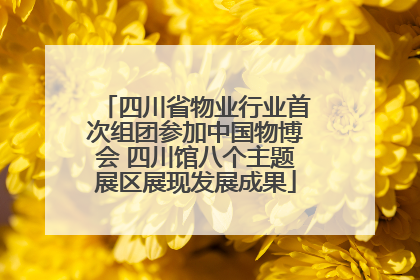 四川省物业行业首次组团参加中国物博会 四川馆八个主题展区展现发展成果