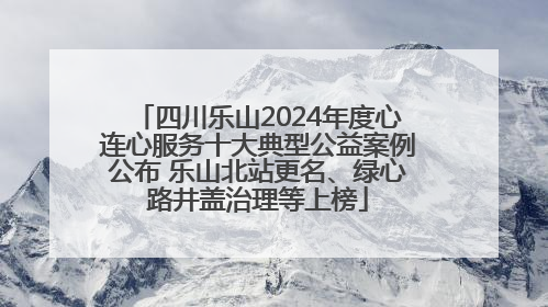四川乐山2024年度心连心服务十大典型公益案例公布 乐山北站更名、绿心路井盖治理等上榜