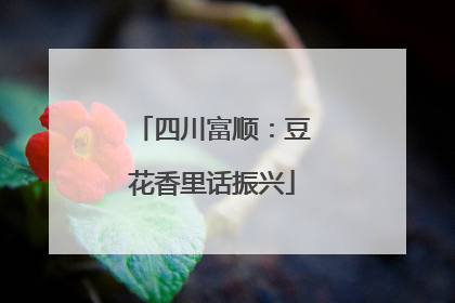 四川富顺：豆花香里话振兴