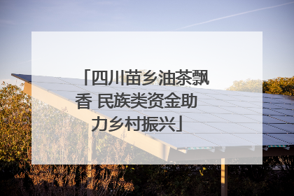 四川苗乡油茶飘香 民族类资金助力乡村振兴