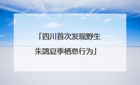 四川首次发现野生朱鹮夏季栖息行为