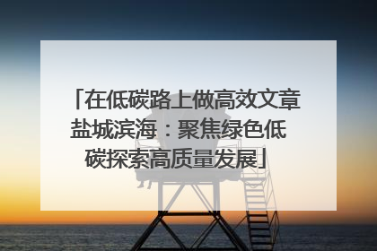 在低碳路上做高效文章 盐城滨海：聚焦绿色低碳探索高质量发展
