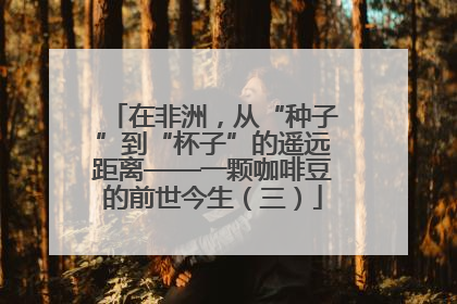 在非洲，从“种子”到“杯子”的遥远距离——一颗咖啡豆的前世今生（三）