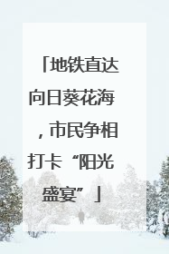 地铁直达向日葵花海，市民争相打卡“阳光盛宴”