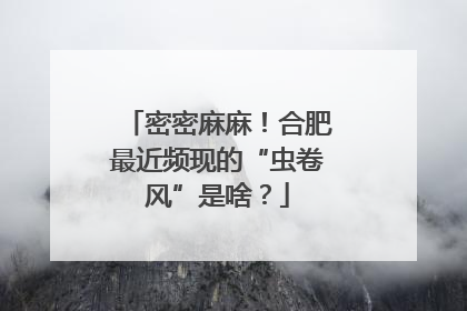 密密麻麻！合肥最近频现的“虫卷风”是啥？