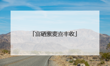 富硒紫麦喜丰收