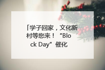 学子回家，文化新村等您来！“Block Day”催化学院式街区新生态