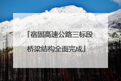 宿固高速公路三标段桥梁结构全面完成