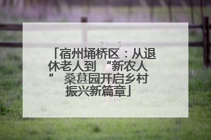 宿州埇桥区：从退休老人到 “新农人” 桑葚园开启乡村振兴新篇章