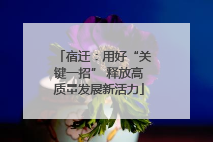 宿迁：用好“关键一招” 释放高质量发展新活力