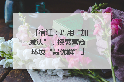 宿迁：巧用“加减法”，探索营商环境“最优解”