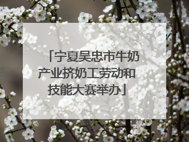 宁夏吴忠市牛奶产业挤奶工劳动和技能大赛举办