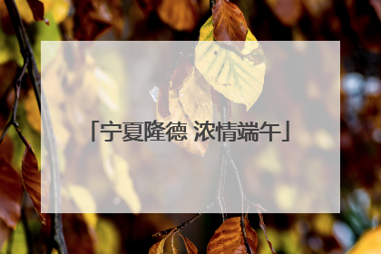 宁夏隆德 浓情端午
