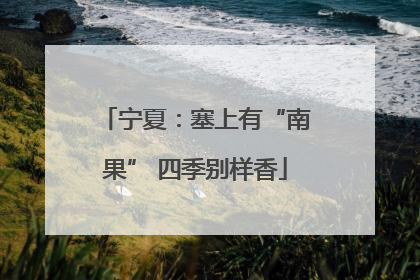 宁夏：塞上有“南果” 四季别样香