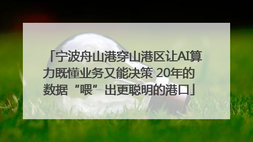 宁波舟山港穿山港区让AI算力既懂业务又能决策 20年的数据“喂”出更聪明的港口