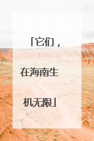 它们，在海南生机无限