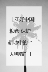 守好中国粮仓 保护耕地中的“大熊猫”