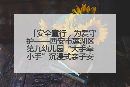 安全童行，为爱守护——西安市莲湖区第九幼儿园“大手牵小手”沉浸式亲子安全体验活动