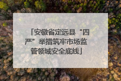 安徽省定远县“四严”举措筑牢市场监管领域安全底线