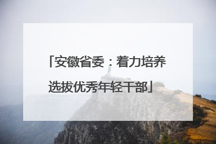 安徽省委：着力培养选拔优秀年轻干部