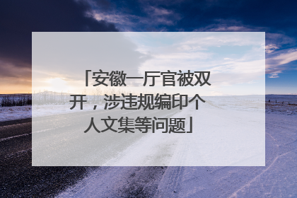 安徽一厅官被双开，涉违规编印个人文集等问题