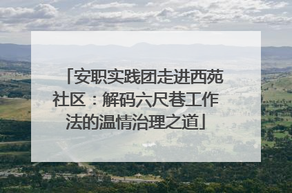 安职实践团走进西苑社区：解码六尺巷工作法的温情治理之道