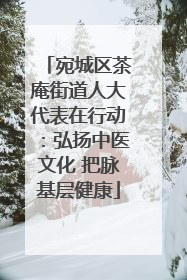 宛城区茶庵街道人大代表在行动：弘扬中医文化 把脉基层健康