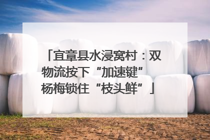 宜章县水浸窝村：双物流按下“加速键” 杨梅锁住“枝头鲜”