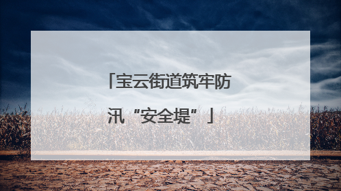 宝云街道筑牢防汛“安全堤”