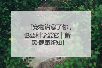 宠物治愈了你，也要科学爱它｜新民·健康新知