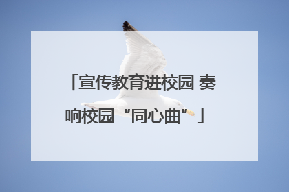 宣传教育进校园 奏响校园“同心曲”