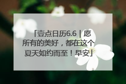 壹点日历6.6｜愿所有的美好，都在这个夏天如约而至！早安