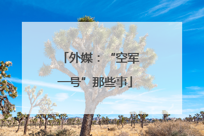 外媒：“空军一号”那些事