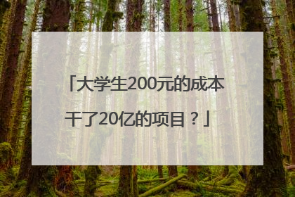 大学生200元的成本干了20亿的项目？