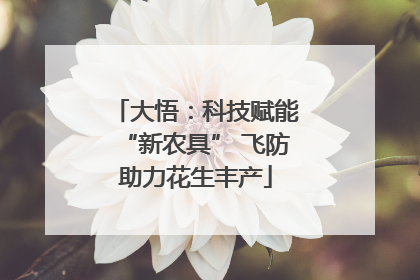 大悟：科技赋能“新农具” 飞防助力花生丰产