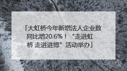 大虹桥今年新增法人企业数同比增20.6%！“走进虹桥 走进进博”活动举办
