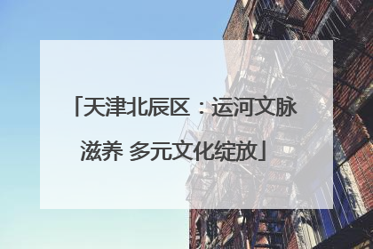 天津北辰区：运河文脉滋养 多元文化绽放