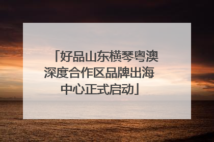 好品山东横琴粤澳深度合作区品牌出海中心正式启动
