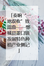 奏响“一地双收”致富曲——鄄城县董口镇发展特色种植产业侧记