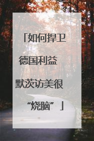 如何捍卫德国利益 默茨访美很“烧脑”