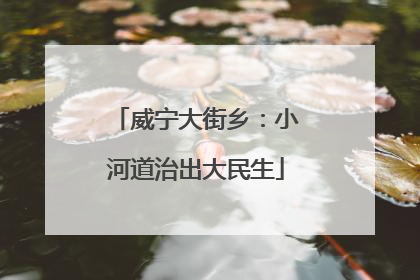 威宁大街乡：小河道治出大民生