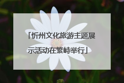 忻州文化旅游主题展示活动在繁峙举行